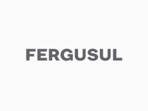 Fergusul